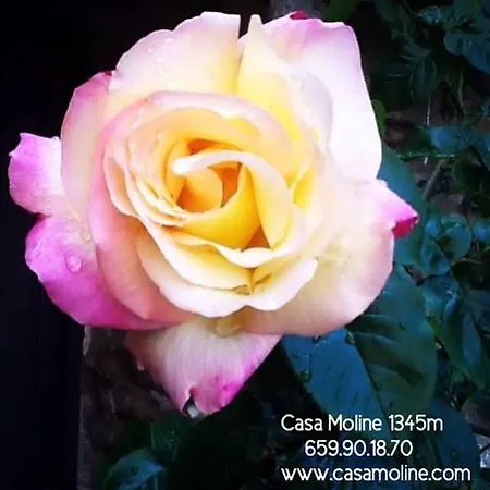 Casa Moline Rurales 2*