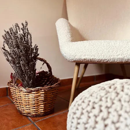 Casa de hóspedes Casa Moline Rurales Aneto