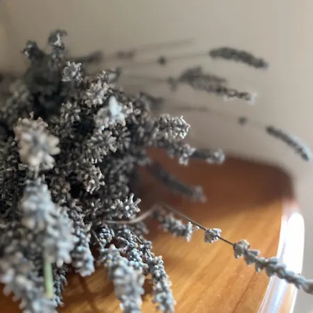 Casa Moline Rurales 2* Aneto