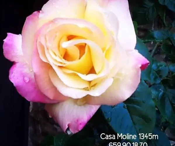 Casa Moline Rurales 2*